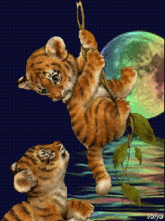 anim_mptron_com (13).gif
